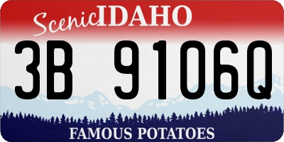 ID license plate 3B9106Q