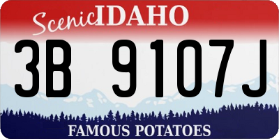ID license plate 3B9107J