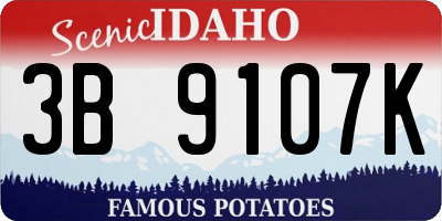 ID license plate 3B9107K