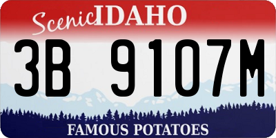 ID license plate 3B9107M