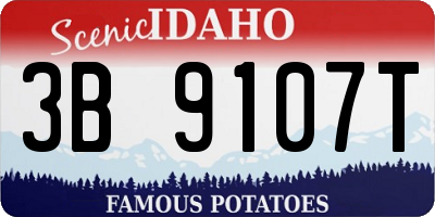 ID license plate 3B9107T