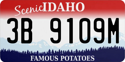 ID license plate 3B9109M