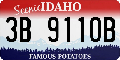 ID license plate 3B9110B