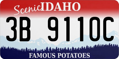 ID license plate 3B9110C