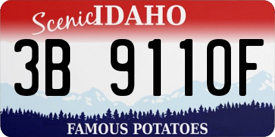 ID license plate 3B9110F