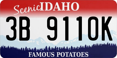 ID license plate 3B9110K