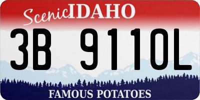ID license plate 3B9110L