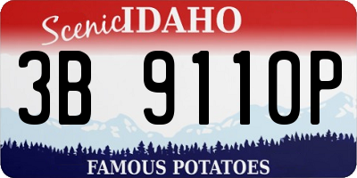 ID license plate 3B9110P