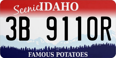 ID license plate 3B9110R