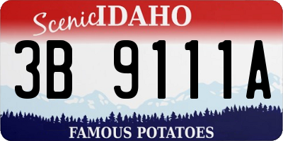 ID license plate 3B9111A