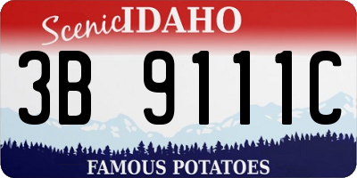 ID license plate 3B9111C