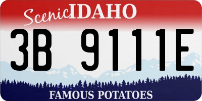 ID license plate 3B9111E