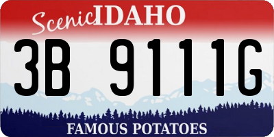 ID license plate 3B9111G