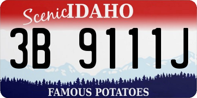 ID license plate 3B9111J