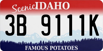 ID license plate 3B9111K