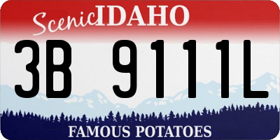 ID license plate 3B9111L