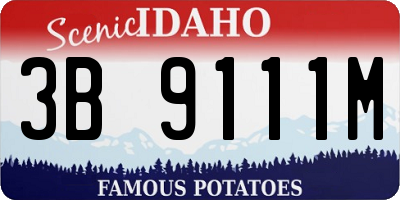 ID license plate 3B9111M