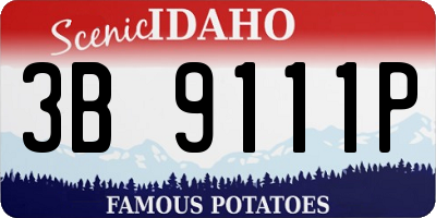ID license plate 3B9111P