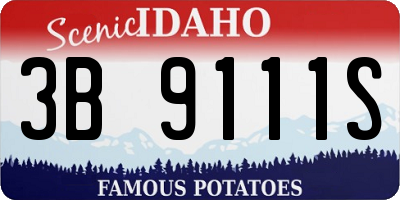 ID license plate 3B9111S