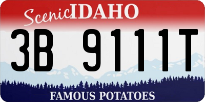 ID license plate 3B9111T