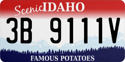 ID license plate 3B9111V