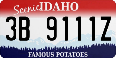 ID license plate 3B9111Z