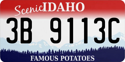 ID license plate 3B9113C