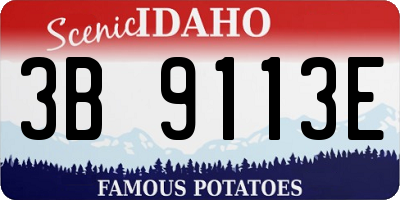 ID license plate 3B9113E