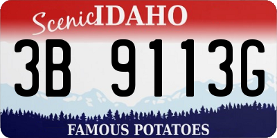 ID license plate 3B9113G