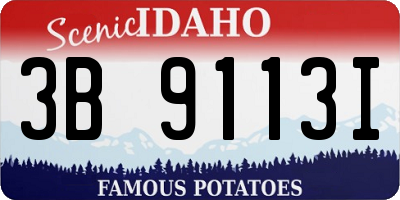 ID license plate 3B9113I