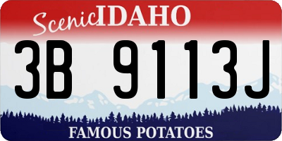 ID license plate 3B9113J