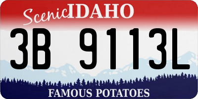 ID license plate 3B9113L
