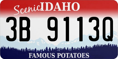 ID license plate 3B9113Q