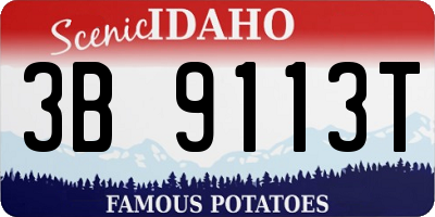 ID license plate 3B9113T