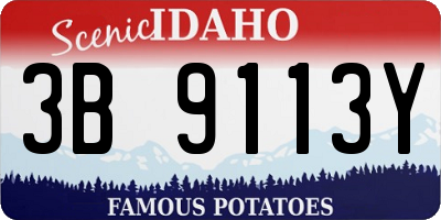 ID license plate 3B9113Y