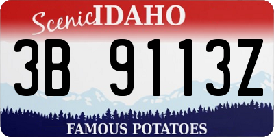 ID license plate 3B9113Z