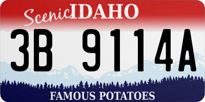 ID license plate 3B9114A