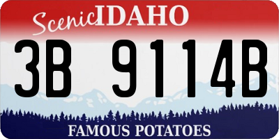ID license plate 3B9114B