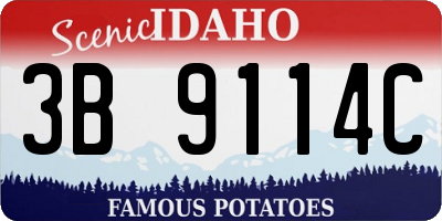 ID license plate 3B9114C