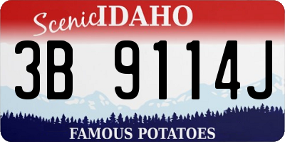ID license plate 3B9114J