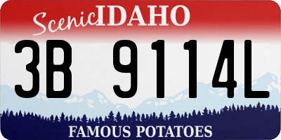 ID license plate 3B9114L