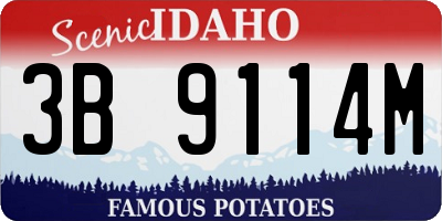 ID license plate 3B9114M