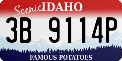ID license plate 3B9114P