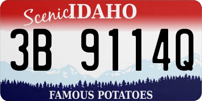 ID license plate 3B9114Q