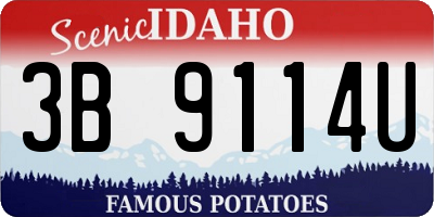 ID license plate 3B9114U