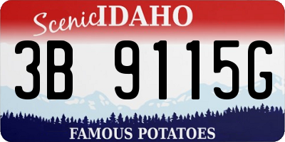 ID license plate 3B9115G