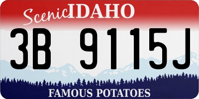 ID license plate 3B9115J