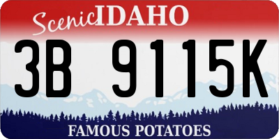 ID license plate 3B9115K