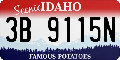 ID license plate 3B9115N