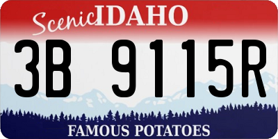 ID license plate 3B9115R